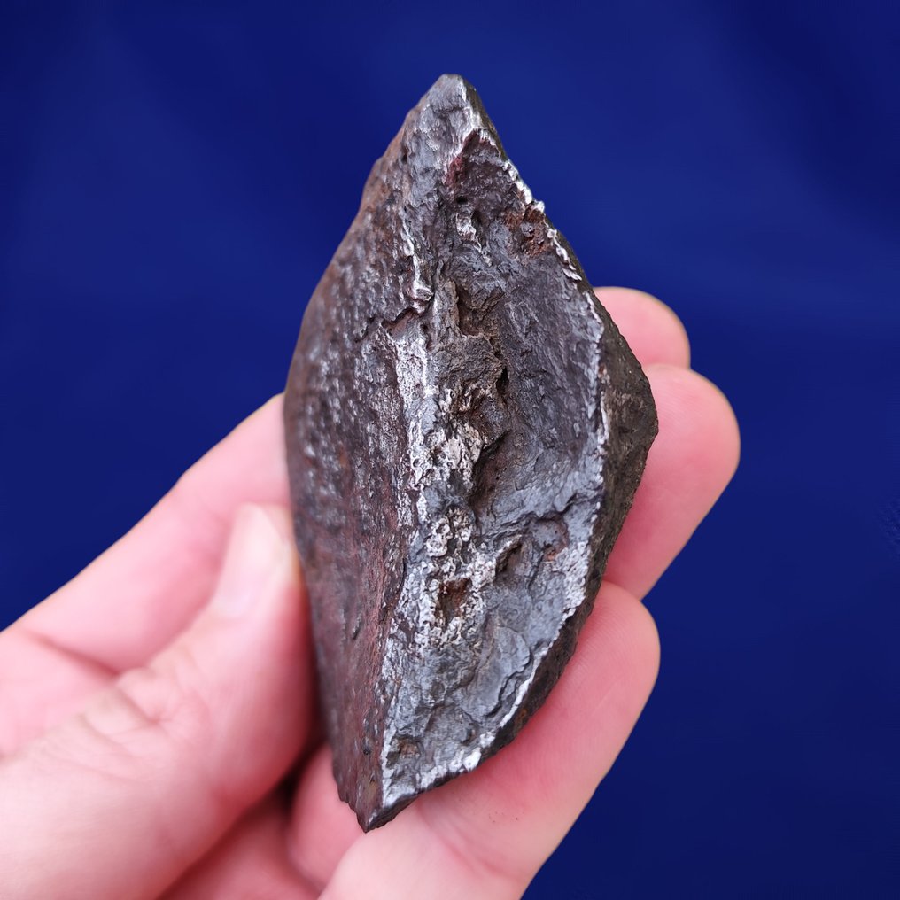 XL 'Oriented' IRON METEORITE Campo del Cielo (Argentina, 4500 years) Clean and stabilized. Without reserve price! - 370 g #2.1