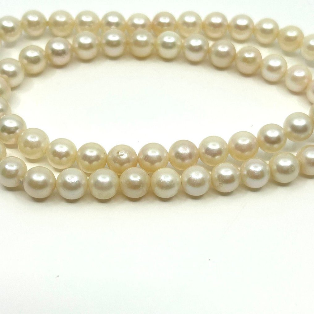 Ohne mindestpreis - Halskette Silber Perle - Einzelstrang weiße Akoya #4.3
