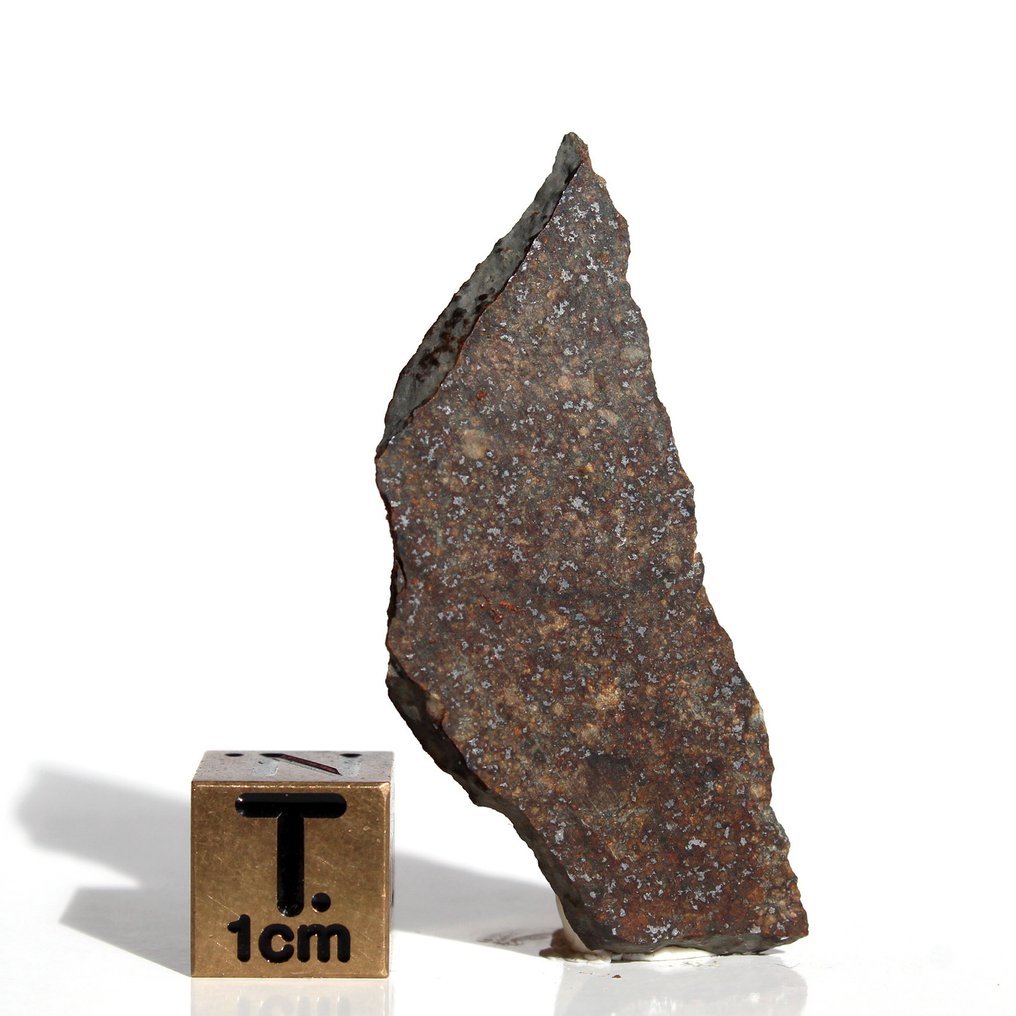 Condrita ordinaria (H5) Rebanada de H5 NWA 18076 - 4.95 g - (1) #1.0