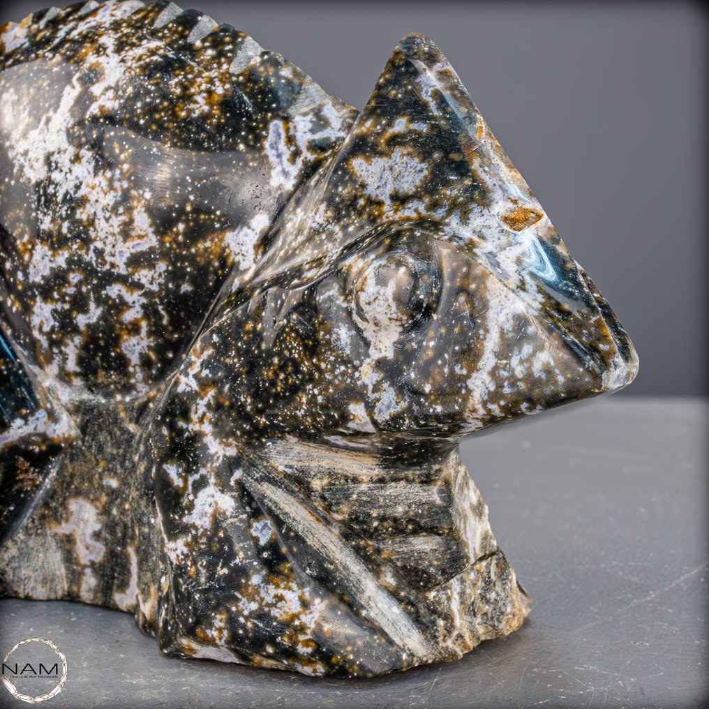 Atemberaubender Ocean-Achat Leguan – Naturkunst in perfekter Harmonie- 1874.74 g #2.1