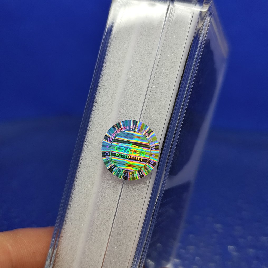 5,2 cm!!! Fatia de meteorito chondrite. NWA 869 (Sahara, 2000). Bons chondrules e ferro! SEM PREÇO DE RESERVA. - 9.5 g #1.0