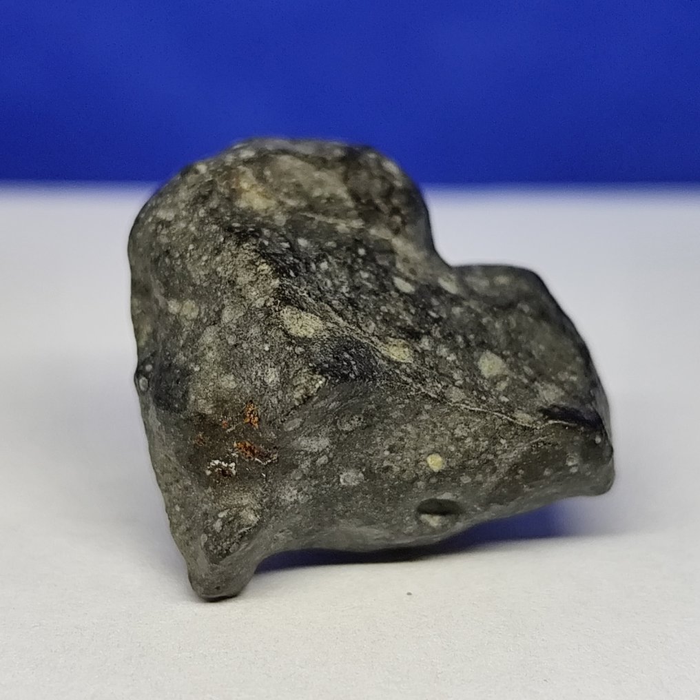 -Only 1959 g in the world- RUMURUTI Chondrite R3-6. NWA 13683 (Sahara, 2018) Without reserve price! - 10 g #2.1