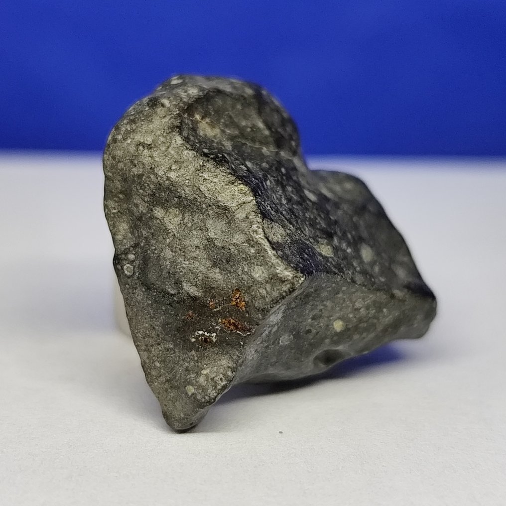 -Only 1959 g in the world- RUMURUTI Chondrite R3-6. NWA 13683 (Sahara, 2018) Without reserve price! - 10 g #3.2