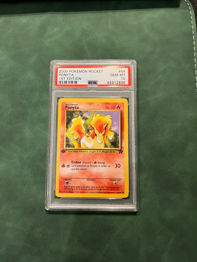 Pokémon - 1 Graded card - Ponyta 64/82 First edition - PSA 10 - WOTC #1.0