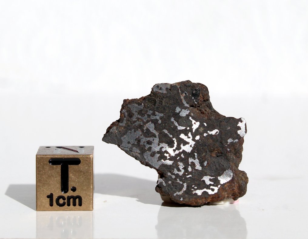 Ωραία ένθεση κρύσταλλος από Mesosiderite NWA 16544 endcut. Μετεωρίτης πέτρας-σιδήρου - 5.91 g - (1) #1.0