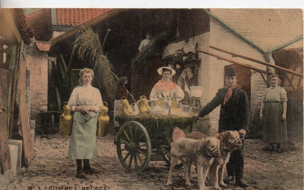 Βέλγιο - καθημερινή ζωή το 1900 - αυτοκίνητα για σκύλους - Καρτ-ποστάλ (6) - 1910-1913 #1.0