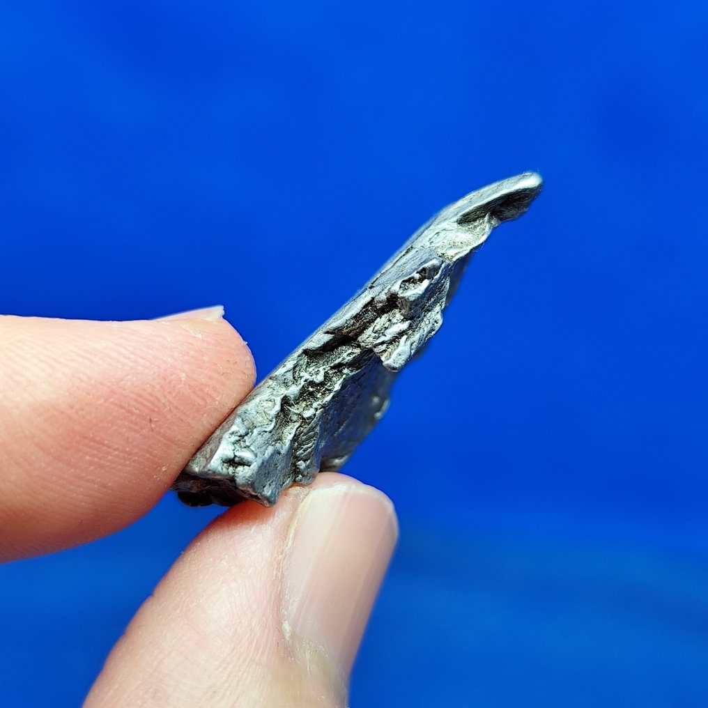 -Endcut- Iron Meteorite, Aletai (China, 1898) Widmanstätten pattern. Best quality. - 17.4 g #2.1
