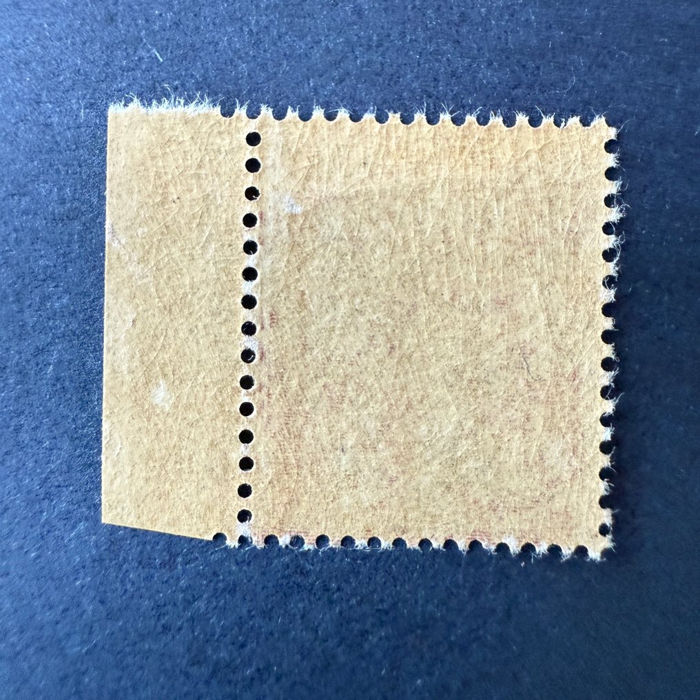 法國  - Yvert 131 “Semeuse lignée 20c brun” 纸边居中，九点位置，状态：新，评级：TB #1.0