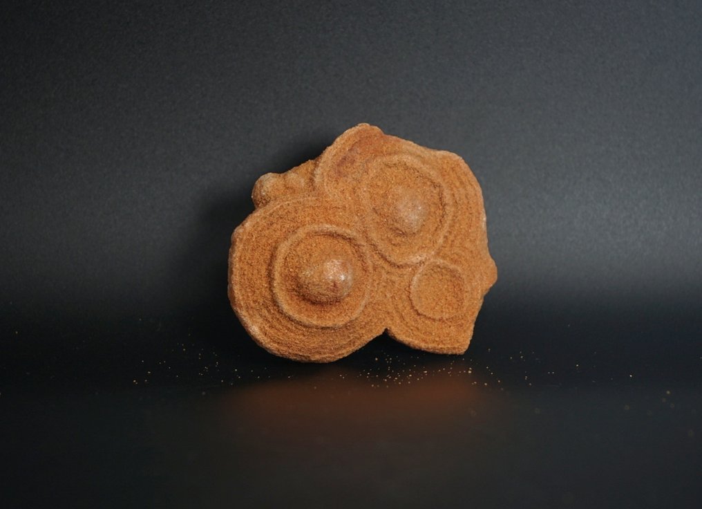 Tierfossil - stromatolite - 6 cm  (Ohne mindestpreis) #2.1