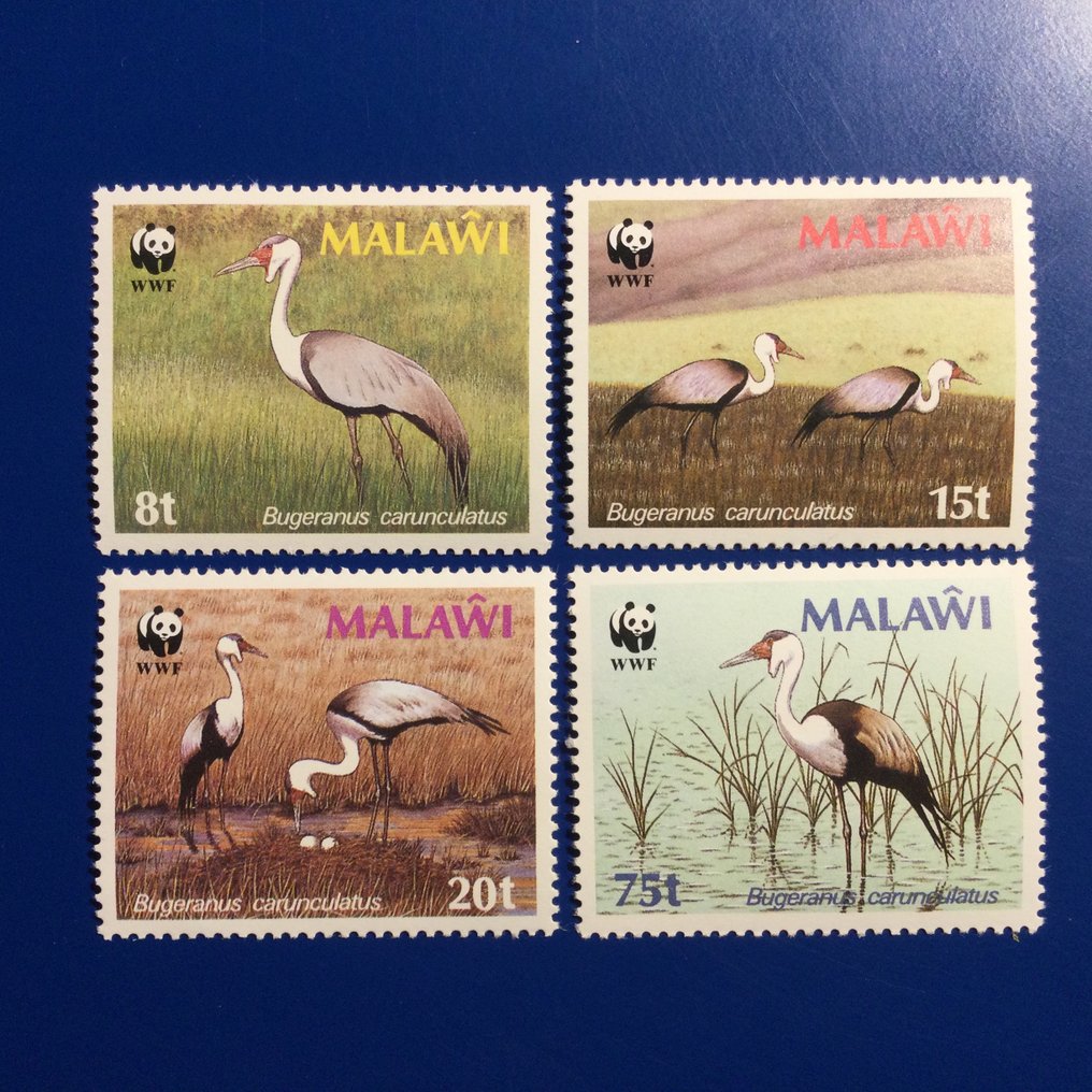 Welt  - WWF Fauna #3.2