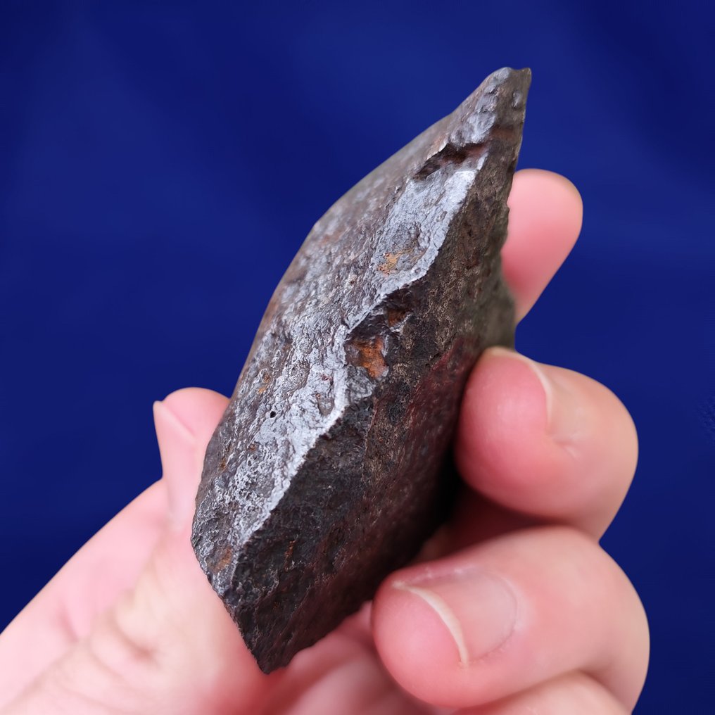 XL 'Oriented' IRON METEORITE Campo del Cielo (Argentina, 4500 years) Clean and stabilized. Without reserve price! - 370 g #4.3