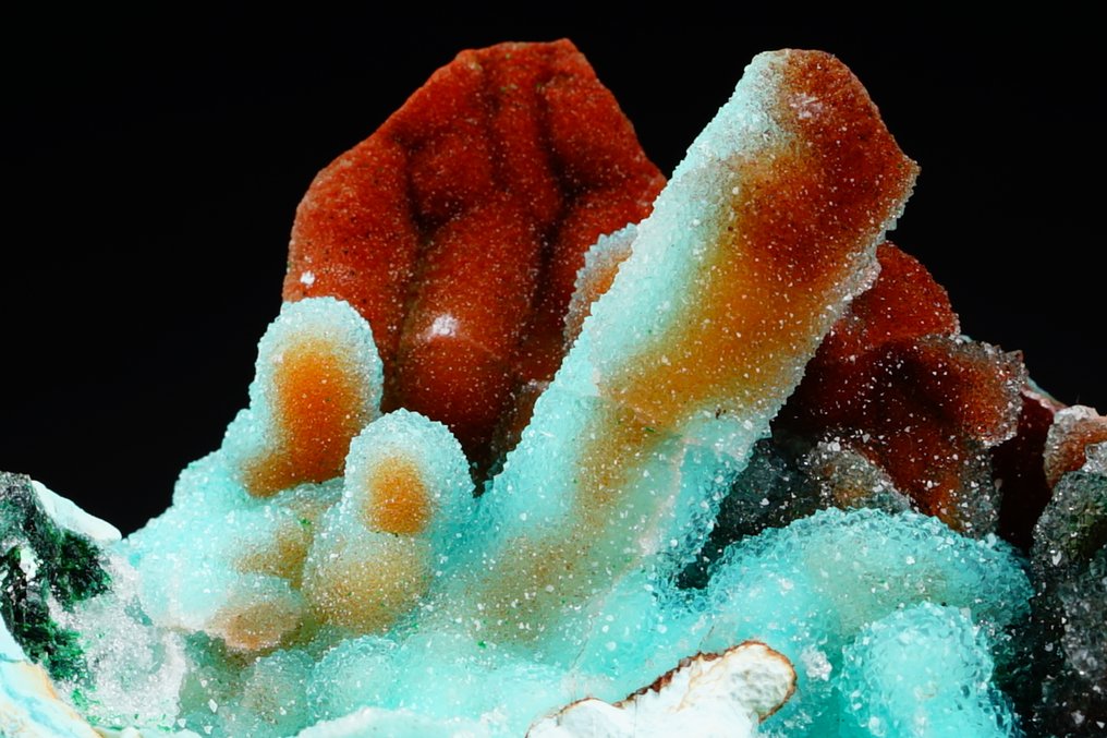 Quartz DRUSY con CHRYSOCOLLA e MALACHITE - formazioni botroidali superb - pseudomorfo - estremamente raro - Altezza: 8.7 cm - Larghezza: 7 cm- 161 g #1.0