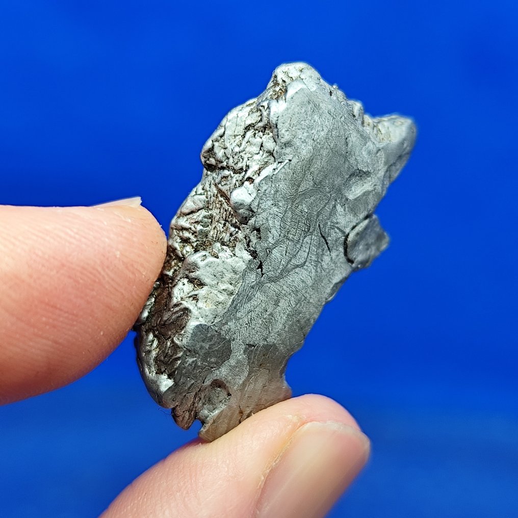 -Endcut- Iron Meteorite, Aletai (China, 1898) Widmanstätten pattern. Best quality. - 17.4 g #4.3