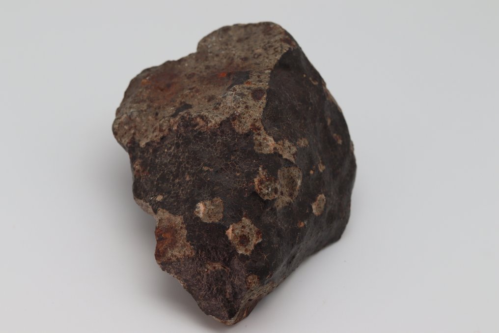 NWA 13281 Μετεωρίτης – Κανονική κονδρίτη (L5) - 420 g #1.0