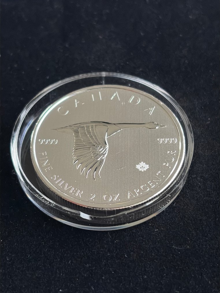 Canada. 10 Dollars 2020 2 oz, Goose  (No reserve price) #2.1