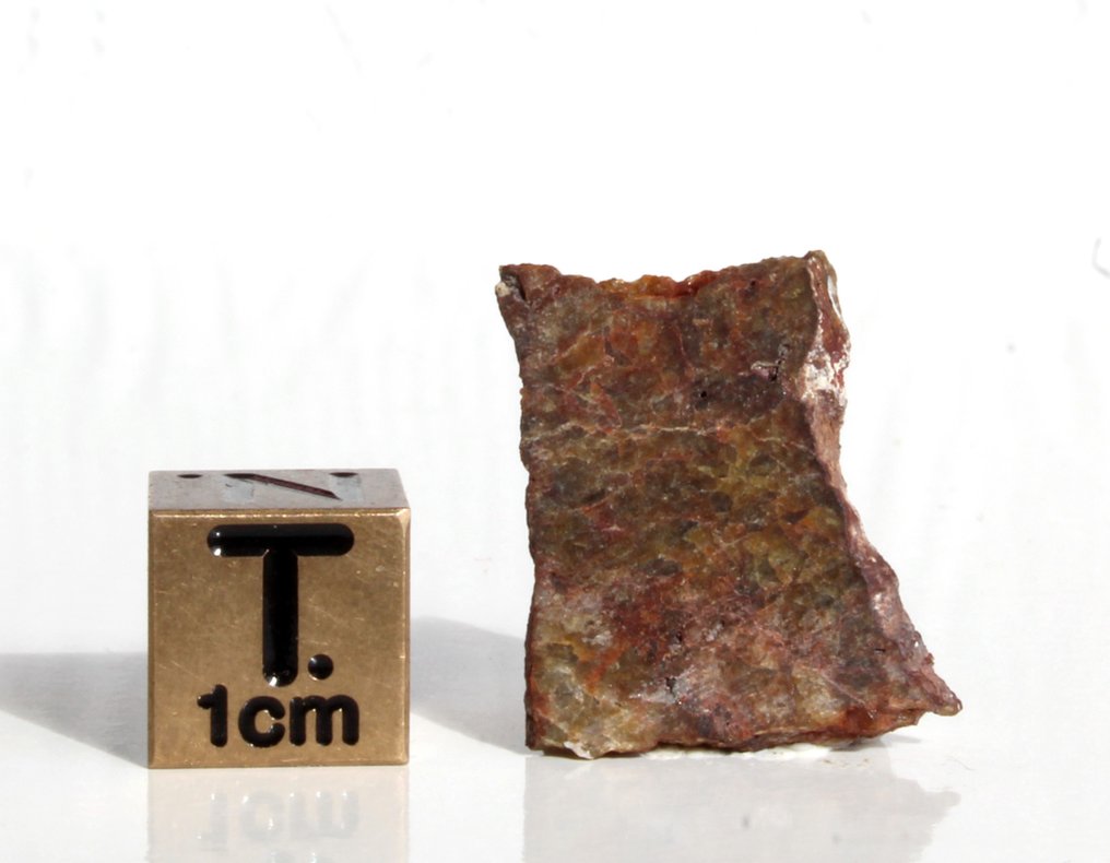 Unique Diogenite NWA 15627 slice with Coarse-grained protogranular - 1.27 g - (1) #2.1