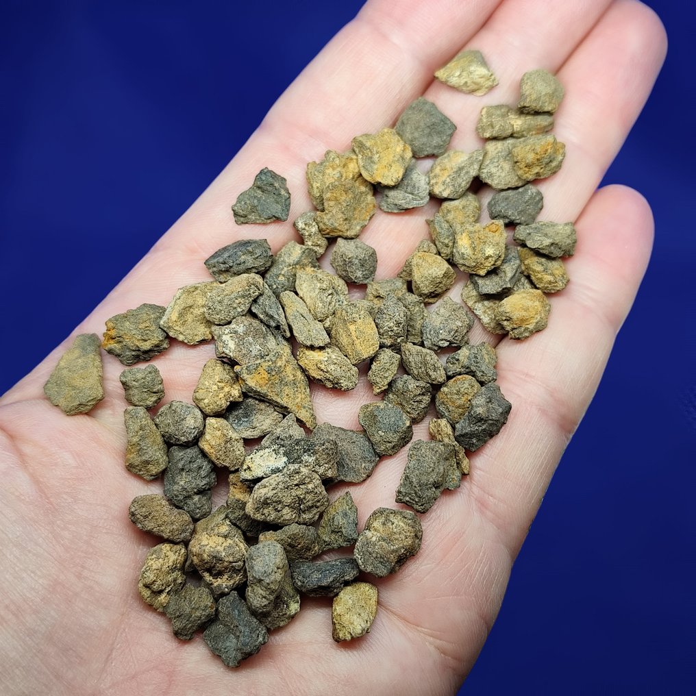 ENSTATITE CHONDRITE!!! -Som kommer fra Mercurys bane- Al Haggounia 001, "EL4-7" (Sahara, 2006). UTEN minstepris!!! - 50 g #1.0