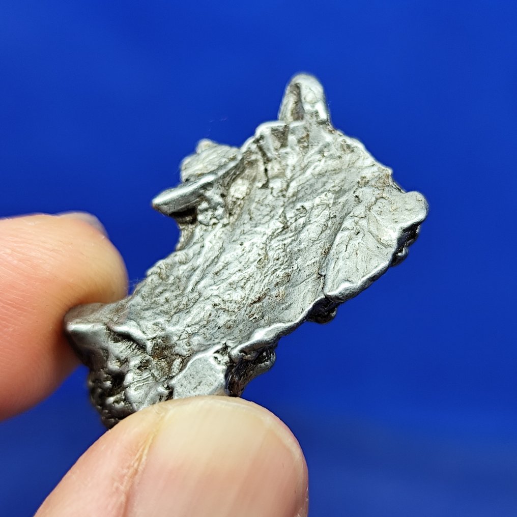 -Endcut- Iron Meteorite, Aletai (China, 1898) Widmanstätten pattern. Best quality. - 17.4 g #1.0