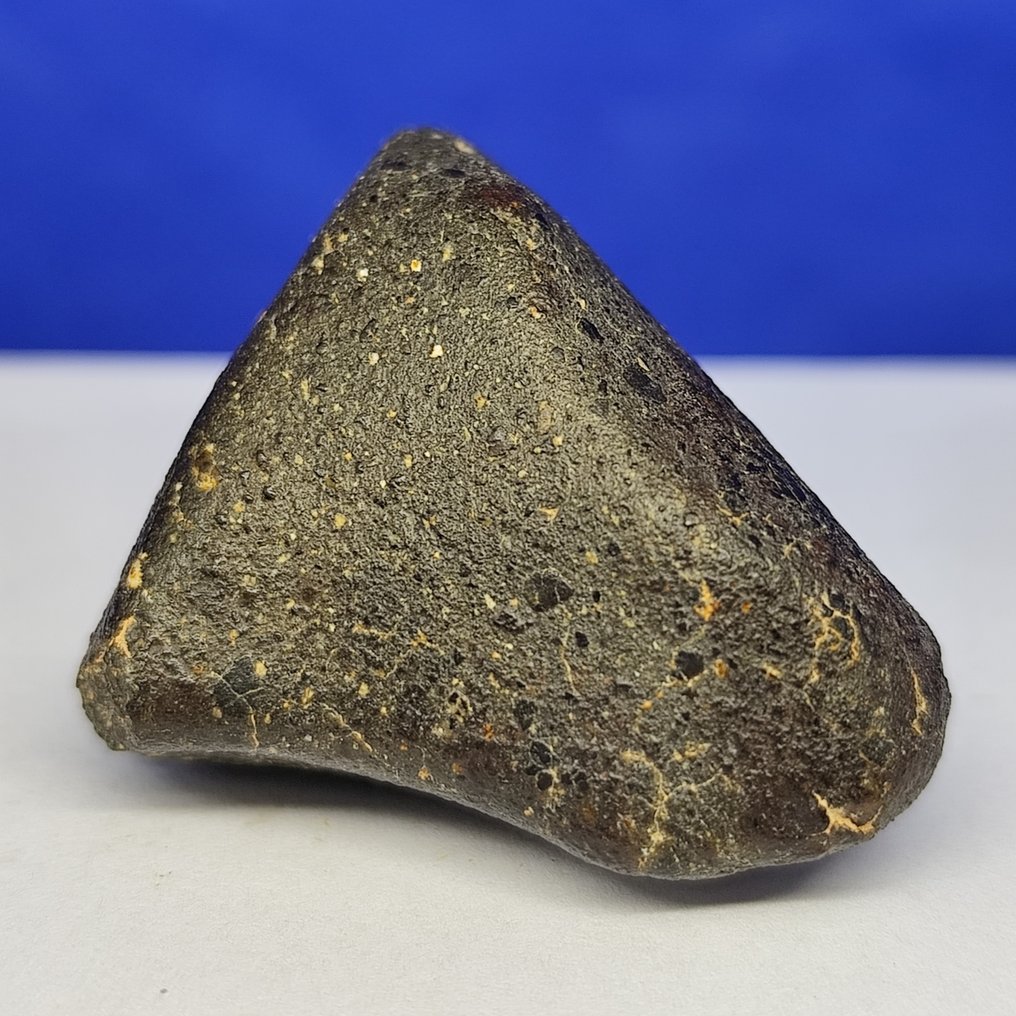 -全球仅有984克-令人惊叹的天体，HOWARDITE ACHONDRITE，带有软球粒！！！ NWA 15682（撒哈拉，2022年）。 - 51.38 g #1.0