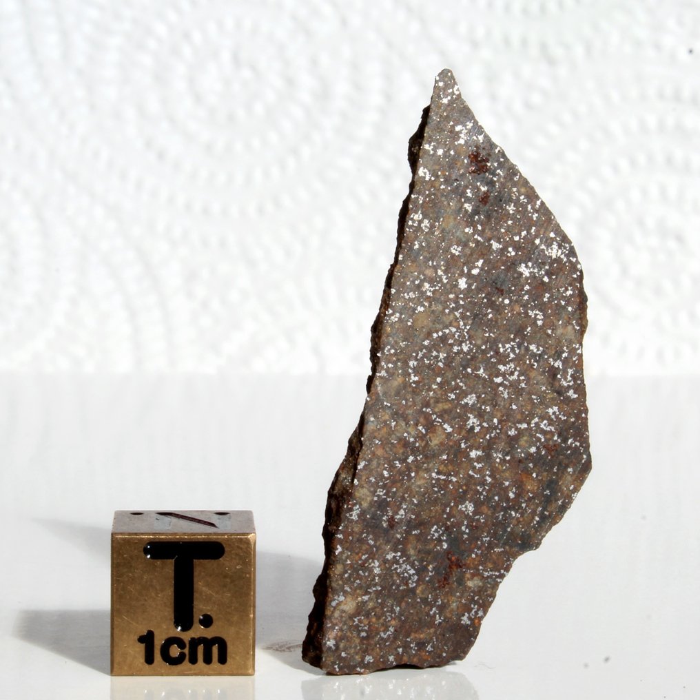 Condrita ordinaria (H5) Rebanada de H5 NWA 18076 - 4.95 g - (1) #1.0