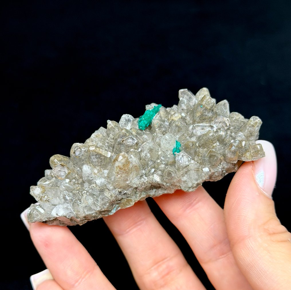 Gorgeous DIOPTASE with CALCITE & QUARTZ from Guantala, Mindouli, DR Congo Specimen - Height: 8.5 cm - Width: 3.8 cm- 77 g #1.0