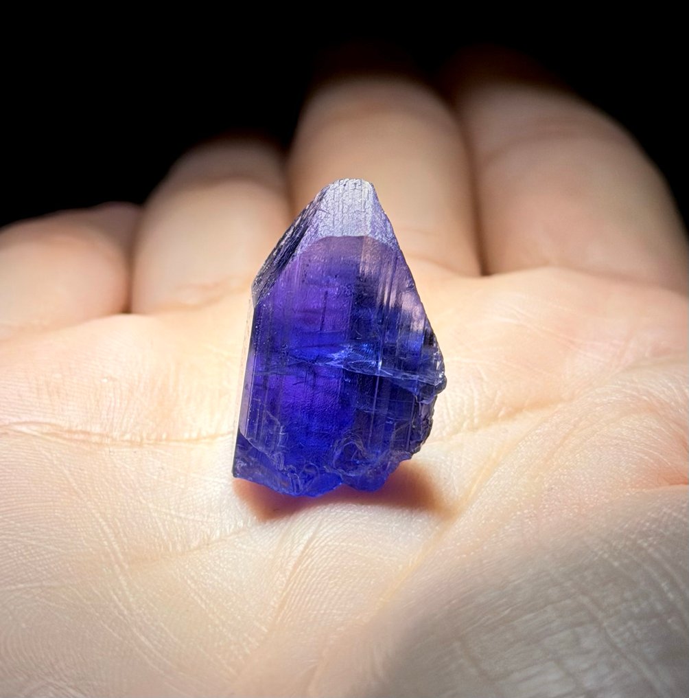 47CT Εξαιρετικός Τανζανίτης από τις λόφους Merelani, Τανζανία Κρύσταλλος - Ύψος: 2.4 cm - Πλάτος: 2.2 cm- 9.4 g #2.1