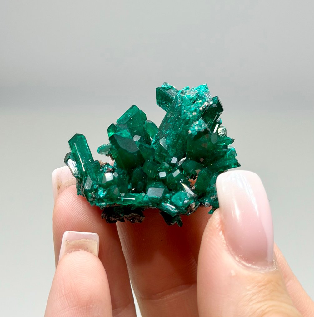Incredible DIOPTASE from N'tola Mine, Mindouli, DR Congo Crystal cluster - Height: 3.5 cm - Width: 3.5 cm- 14 g #1.0