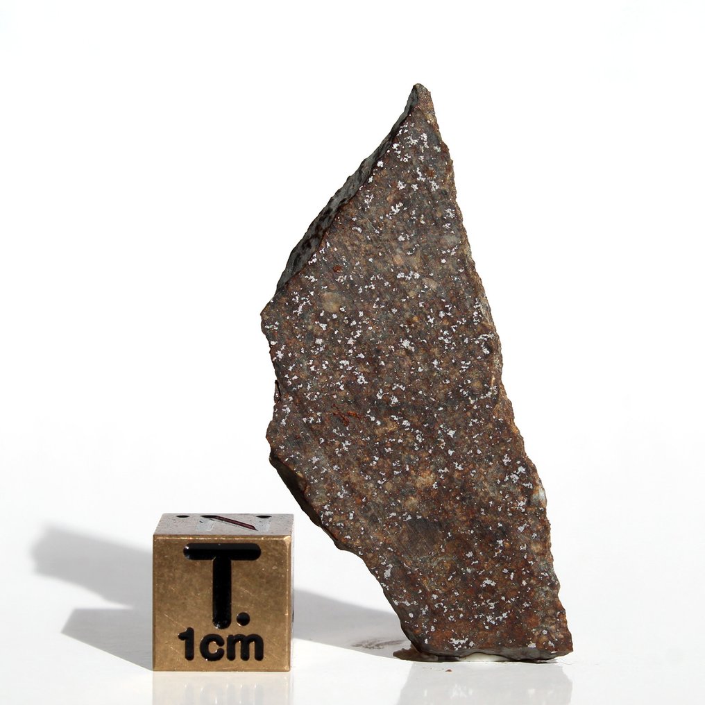 Condrita ordinaria (H5) Rebanada de H5 NWA 18076 - 4.95 g - (1) #3.2