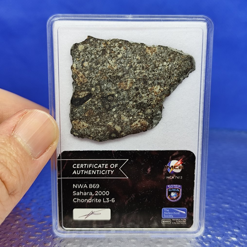 5,2 cm!!! Fatia de meteorito chondrite. NWA 869 (Sahara, 2000). Bons chondrules e ferro! SEM PREÇO DE RESERVA. - 9.5 g #1.0