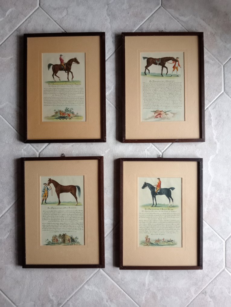 non firmato - Cavalli inglesi #1.0