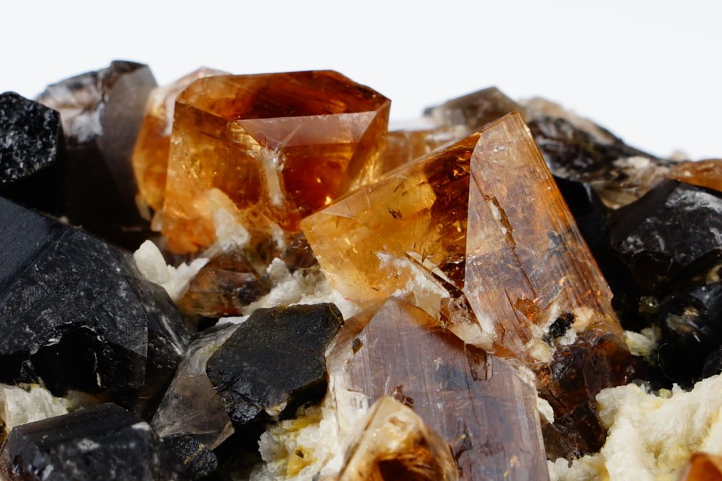 Cristais de topázio dourado grande com cristais de quartzo fumê na matriz. - excelente - cristais terminados - fluorescente - Altura: 10.5 cm - Largura: 7.8 cm- 368 g #2.1