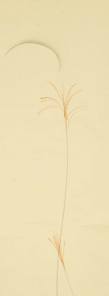 Moon and Autumn Flowers with Original Box (Tomobako) - Araki Jippo 荒木十畝 (1872-1944) - Giappone  (Senza prezzo di riserva) #3.2