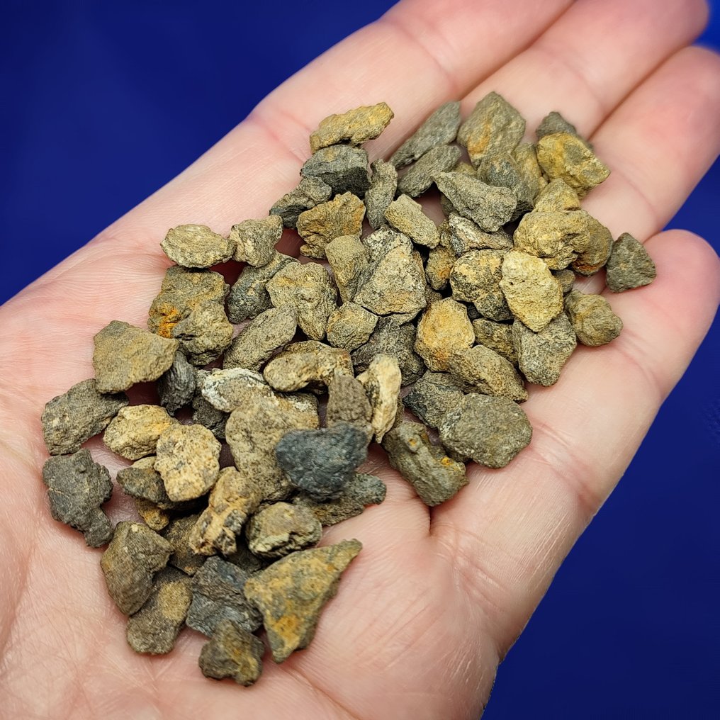 ENSTATITE CHONDRITE!!! -Som kommer fra Mercurys bane- Al Haggounia 001, "EL4-7" (Sahara, 2006). UTEN minstepris!!! - 50 g #2.1