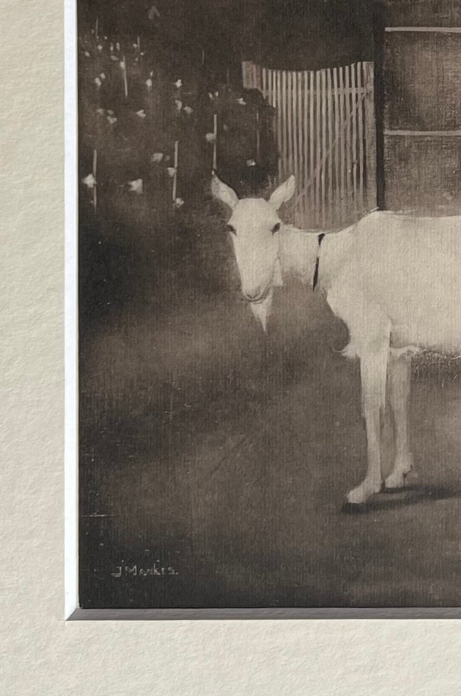 Jan Mankes (1889-1920) - Oude geit #4.3