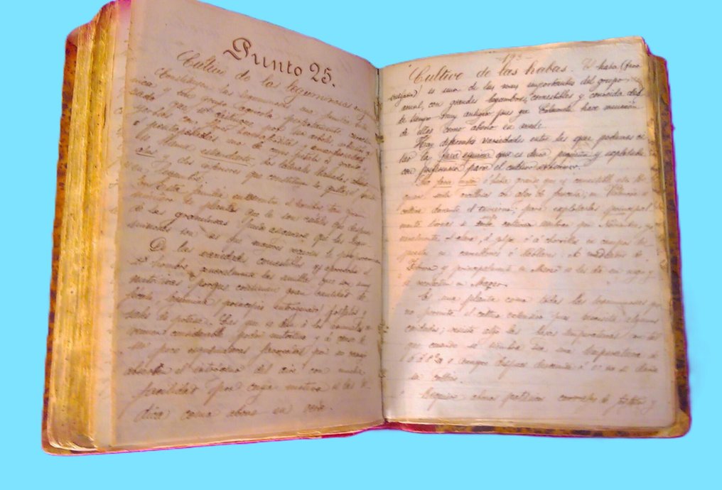 Dr. D. Pedro Fuster - Apuntes de Agricultura - 1890 #3.2