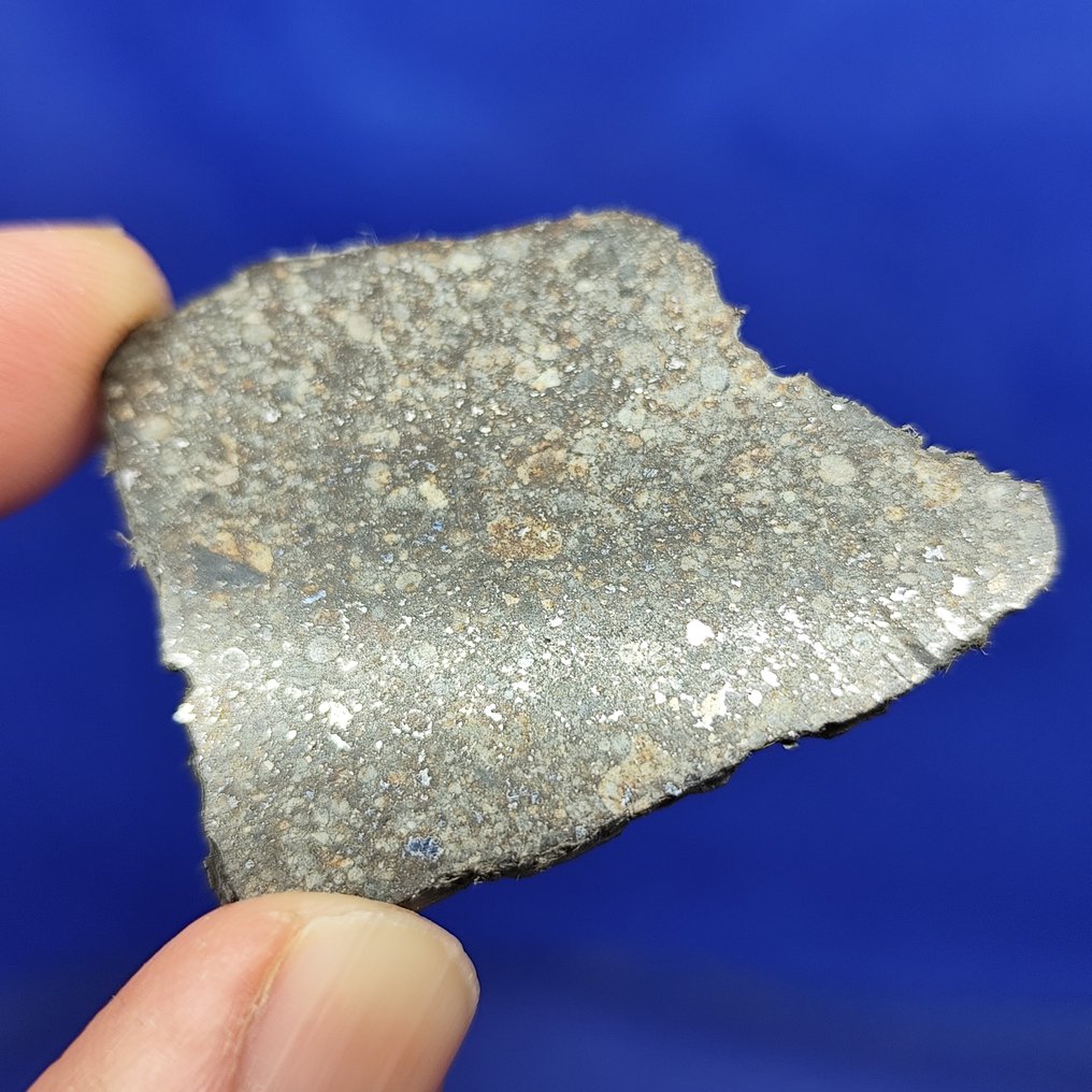 5,2 cm!!! Fatia de meteorito chondrite. NWA 869 (Sahara, 2000). Bons chondrules e ferro! SEM PREÇO DE RESERVA. - 9.5 g #4.3