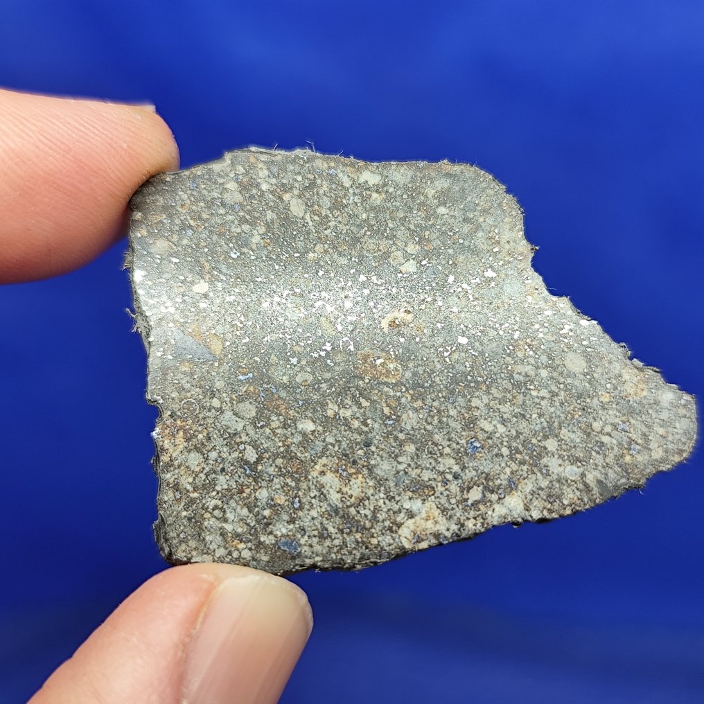 5,2 cm!!! Fatia de meteorito chondrite. NWA 869 (Sahara, 2000). Bons chondrules e ferro! SEM PREÇO DE RESERVA. - 9.5 g #3.2