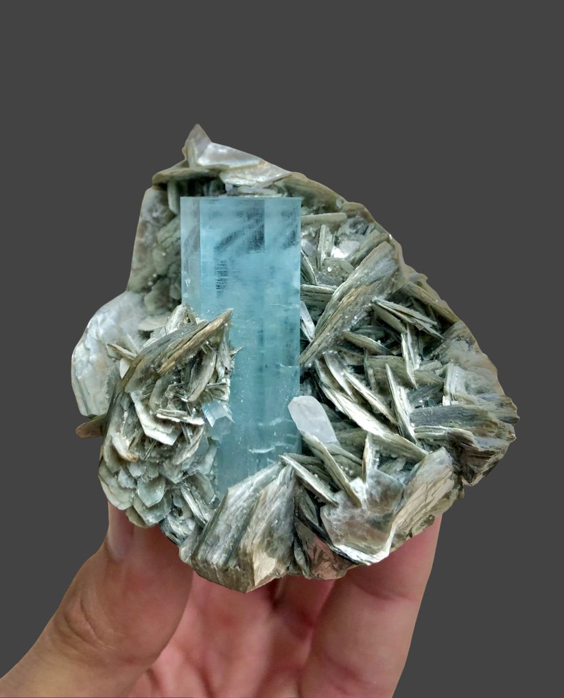 Attractive Aquamarine With Quartz Terminated Crystals On Muscovite Mica Combine Specimen - Height: 69 mm - Width: 65 mm- 213 g - (1) #1.0