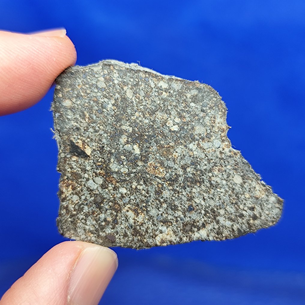 5,2 cm!!! Fatia de meteorito chondrite. NWA 869 (Sahara, 2000). Bons chondrules e ferro! SEM PREÇO DE RESERVA. - 9.5 g #2.1