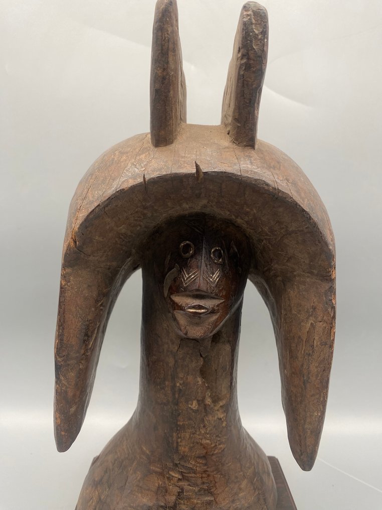 tête mumuye - Φιγούρα - tete mumuye - Νιγηρία  (χωρίς τιμή ασφαλείας) #1.0