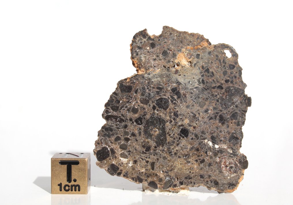 一片漂亮的月光 NWA 17700 月球陨石(角闪岩熔融角砾岩碎裂岩) - 8.33 g - (1) #1.0