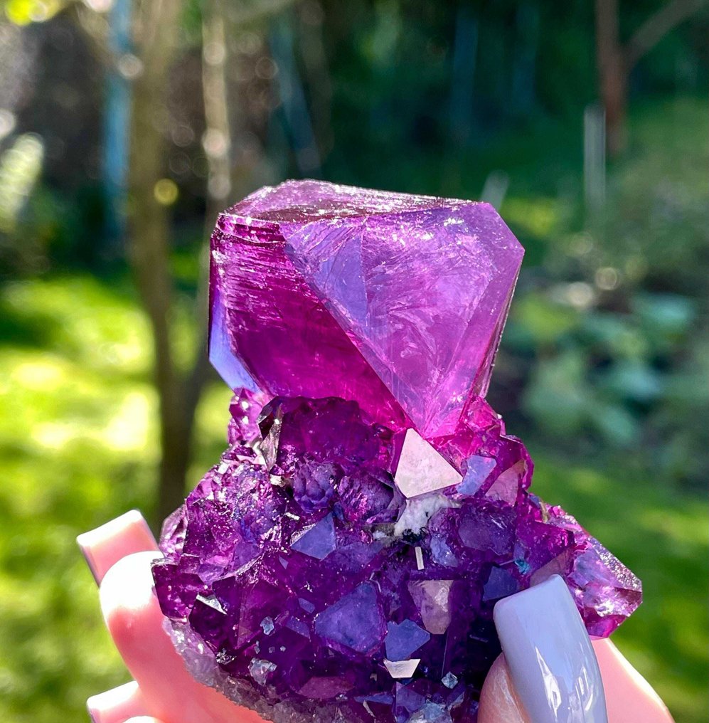 111g Unique Large Purple ALUNITE Crystal on Matrix Rare LAB Specimen Crystal on matrix - Height: 6 cm - Width: 5.2 cm- 111 g #1.0