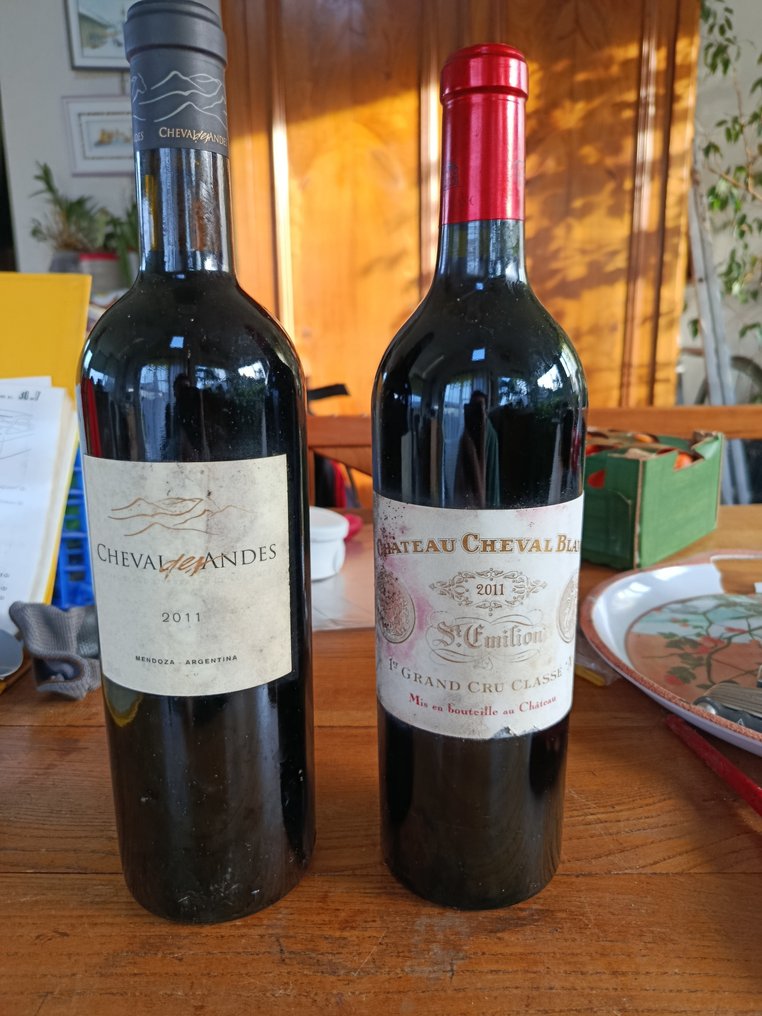 2011 Château Cheval Blanc & 2011 Cheval des Andes - Mendoza, Saint-Émilion 1er Grand Cru Classé A - 2 Bottles (0.75L) #1.0
