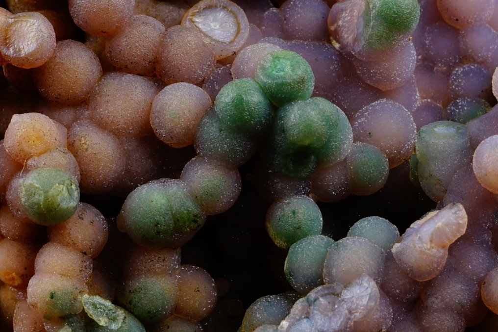 TOP Bicolour AMETHYST formazione botrioidale alias GRAPE CHALCEDONY - con CELADONITE - Altezza: 10.3 cm - Larghezza: 7 cm- 169 g #4.3