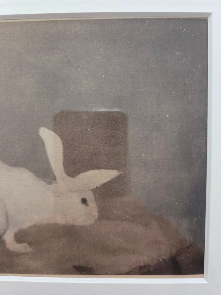 Jan Mankes (1889-1920) - Twee konijnen. #3.2