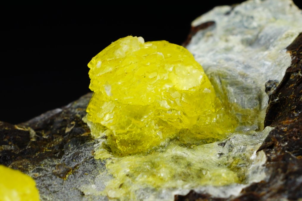 Raro esemplare di BRUCITE gialla di alta qualità cristalli botroidali giallo vivido su matrice - Altezza: 5.5 cm - Larghezza: 4.7 cm- 114 g #4.3