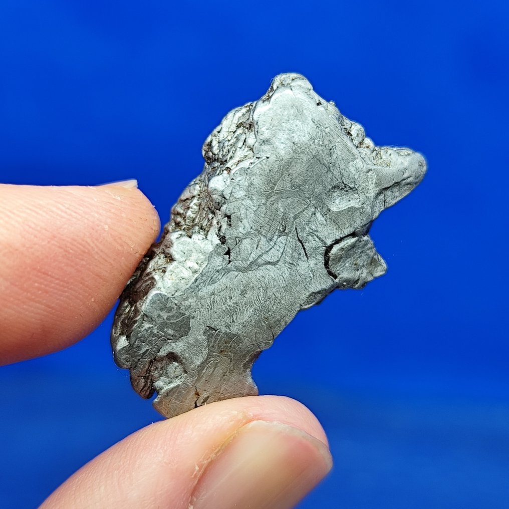 -Endcut- Iron Meteorite, Aletai (China, 1898) Widmanstätten pattern. Best quality. - 17.4 g #3.2