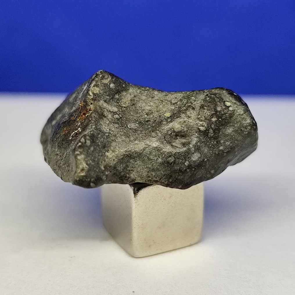 -Only 1959 g in the world- RUMURUTI Chondrite R3-6. NWA 13683 (Sahara, 2018) Without reserve price! - 10 g #4.3