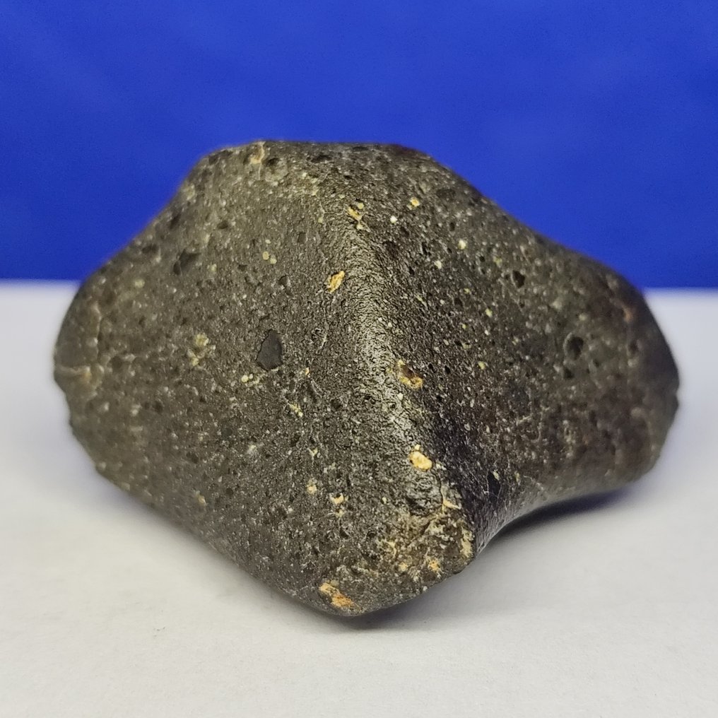 -全球仅有984克-令人惊叹的天体，HOWARDITE ACHONDRITE，带有软球粒！！！ NWA 15682（撒哈拉，2022年）。 - 51.38 g #3.2