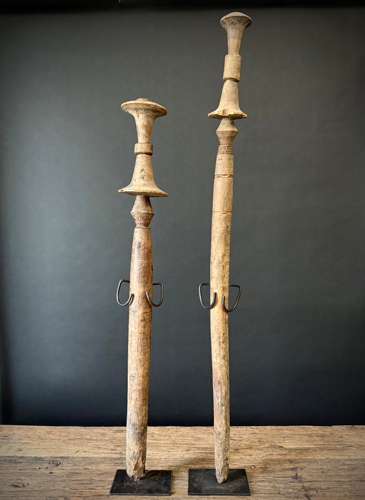 Tentpaal - Igem - Tuareg - Νίγηρας  (χωρίς τιμή ασφαλείας) #1.0